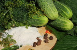 Огурцы для засола и маринования