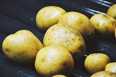 Посадка картофеля, его огромное значение для потребителя